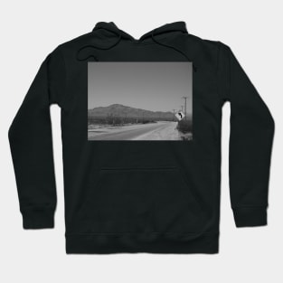 Dizzy Rock at Najas Desert Oasis Essex Vintage Photo V3 Hoodie